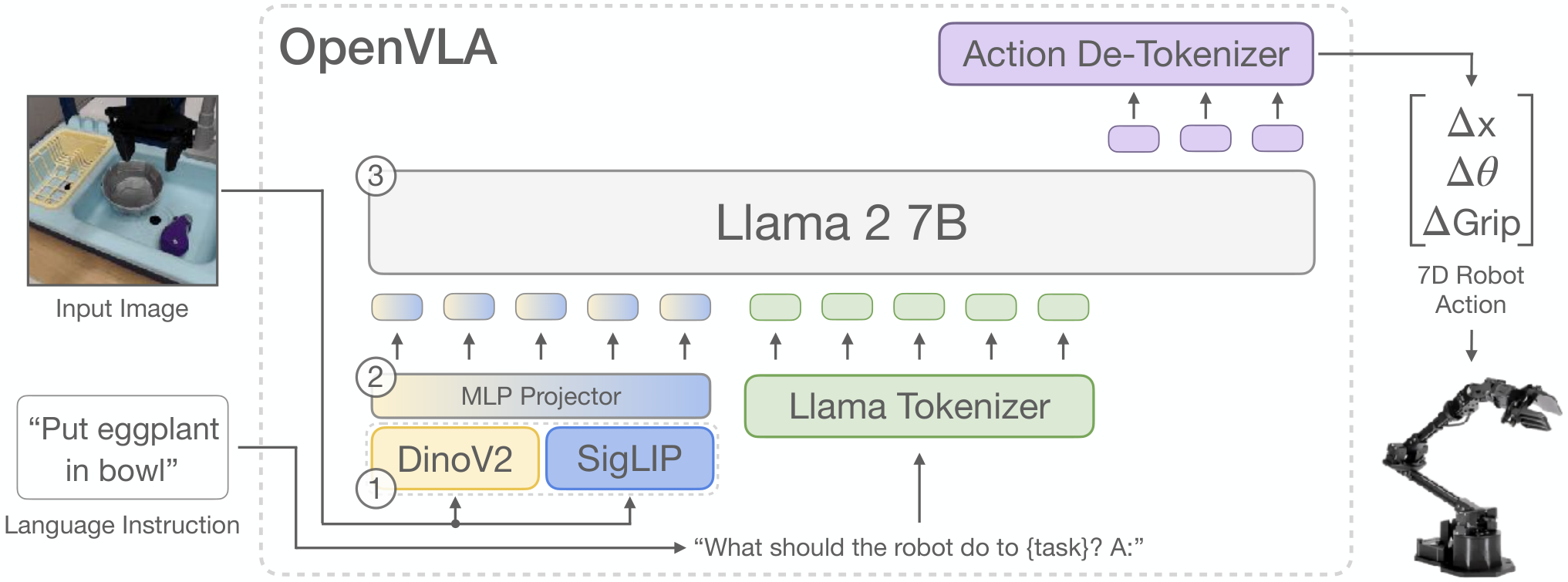 OpenVLA diagram showing DINOv2 and SigLIP image encoders, an MLP projector, a language tokenizer, Llama 2 7B and an action de-tokenizer
