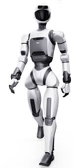 Codroid 02