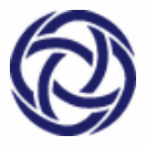 Frontier Security Institute logo