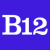 AI Website Builder by B12 (GPT).png